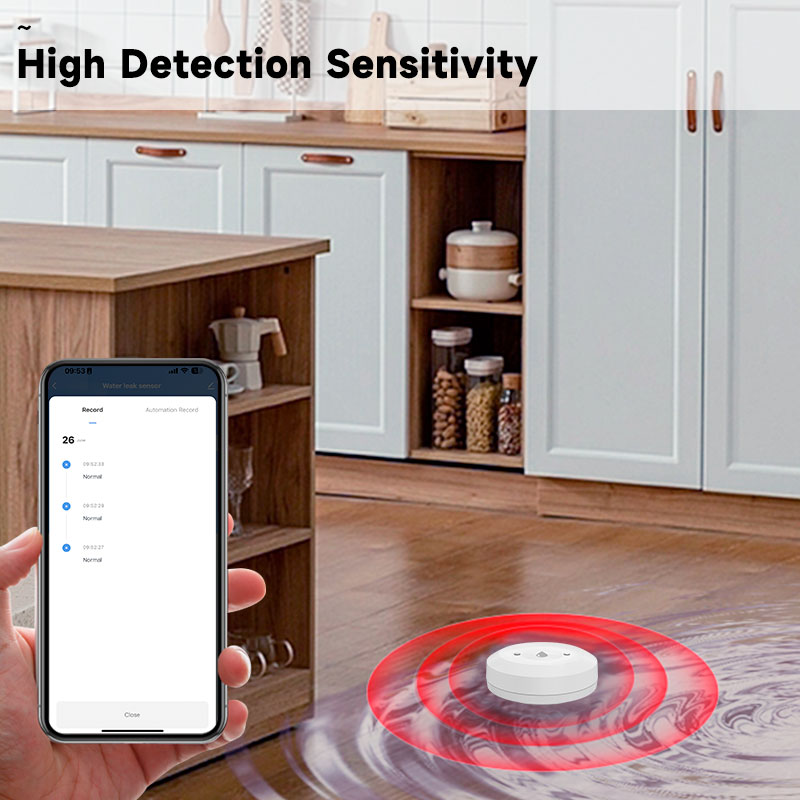 Tuya ZigBee Smart Water Leak S - огляд і ціна Kitchen Appliances Video