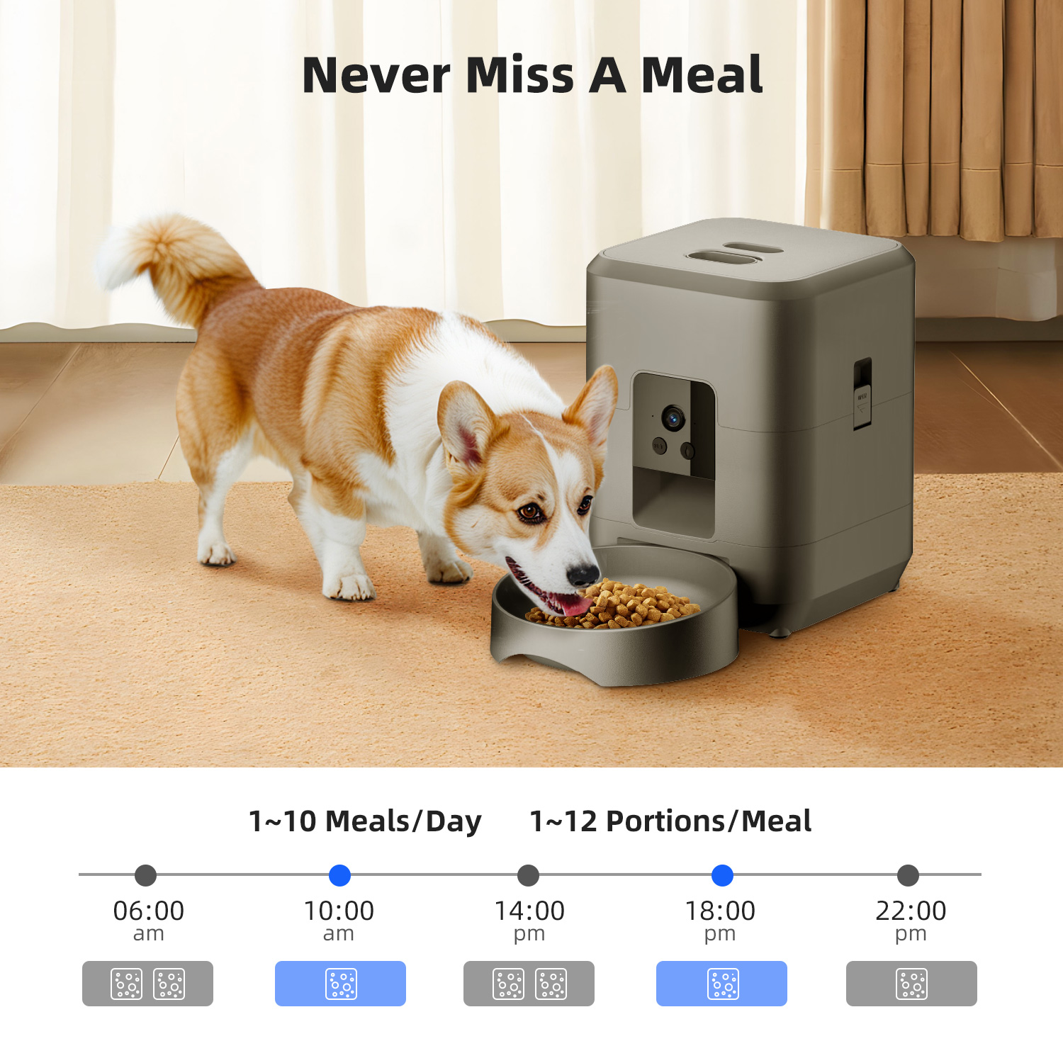 2L Automatic Pet Feeder Cat Sm - огляд і ціна Kitchen Appliances Video